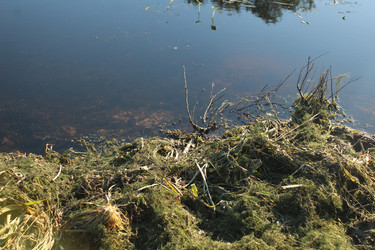 Similar image 22181144