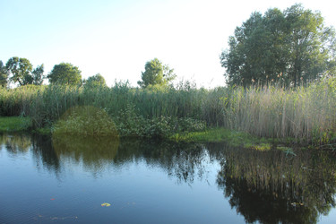 Similar image 22181145