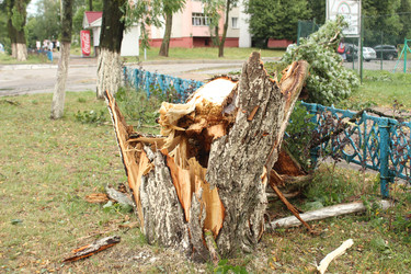 Similar image 22181146