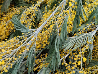 Similar image 22181156