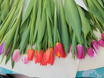 Similar image 22181158