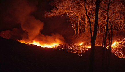 Similar image 22173072