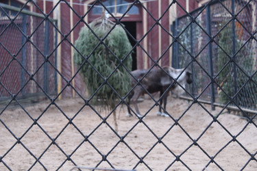 Similar image 22181162