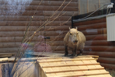 Similar image 22181164