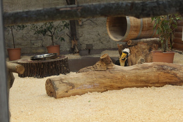 Similar image 22181165