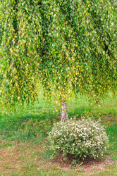 Similar image 22180775