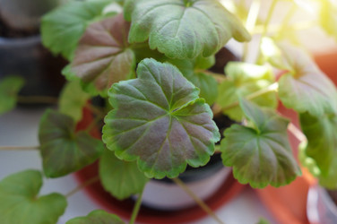 Similar image 22180776