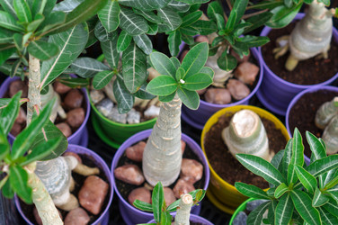 Similar image 22180777