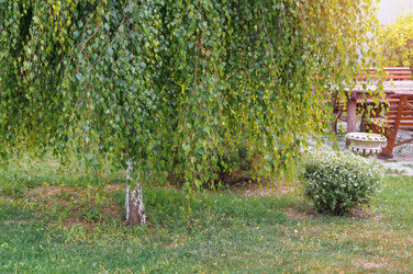 Similar image 22180778