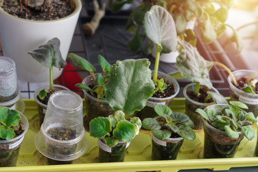 Similar image 22180779