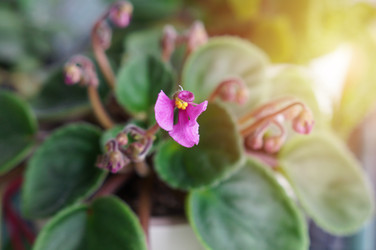 Similar image 22180781