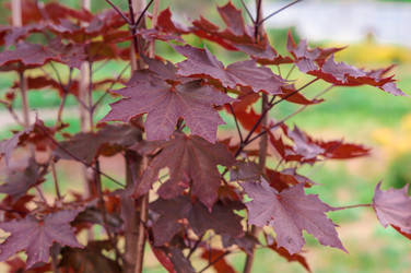 Similar image 22180782