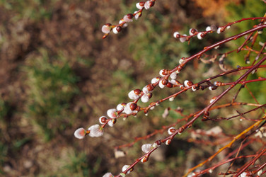 Similar image 22180783