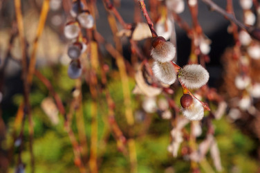 Similar image 22180785