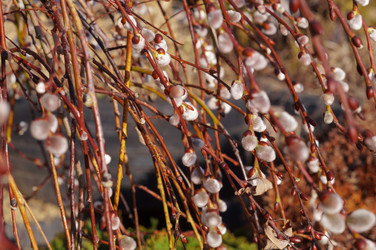 Similar image 22180786