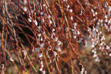 Similar image 22180787