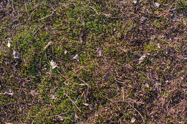 Similar image 22180788