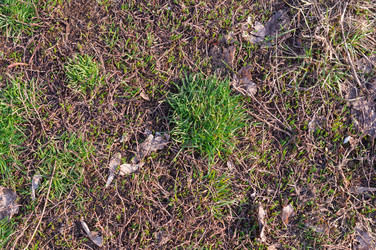 Similar image 22180789