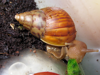 Similar image 22180790