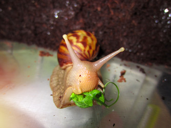 Similar image 22180883