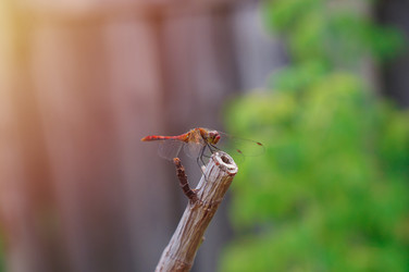 Similar image 22180884