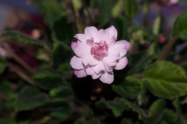 Similar image 22180885