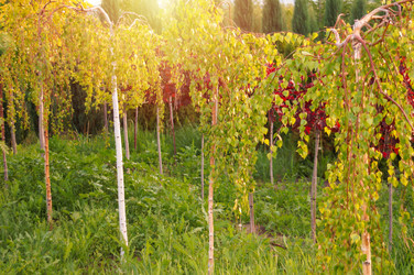 Similar image 22180886