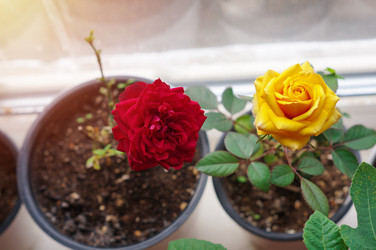 Similar image 22180889