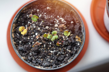 Similar image 22180891