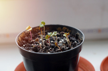 Similar image 22180892