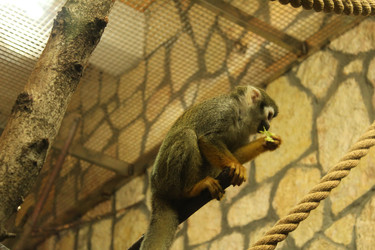 Similar image 22180056