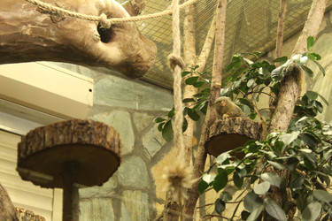 Similar image 22180058