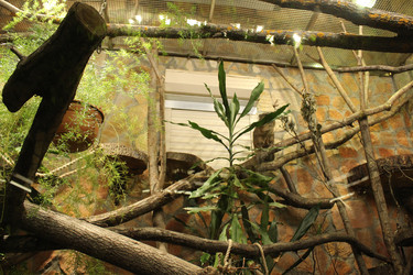 Similar image 22180059