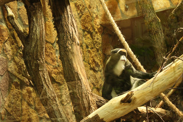 Similar image 22180060