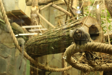 Similar image 22180061