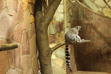 Similar image 22180062