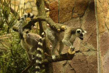 Similar image 22181183