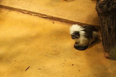 Similar image 22181184