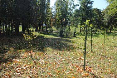 Similar image 22181185