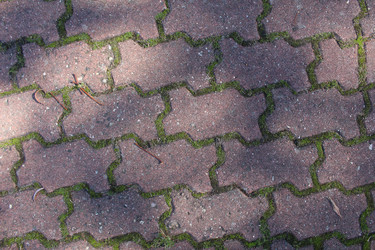 Similar image 22181189