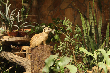 Similar image 22181196