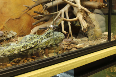 Similar image 22181197