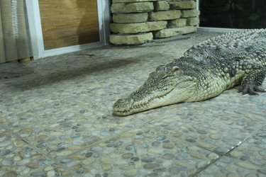 Similar image 22181199