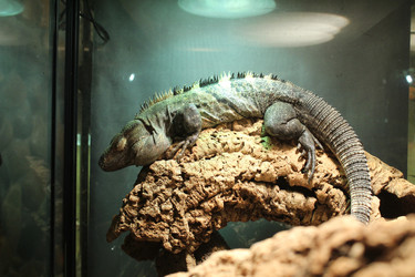 Similar image 22181200