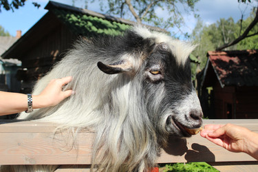 Similar image 22181202