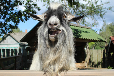 Similar image 22181203