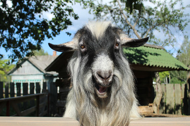 Similar image 22181204