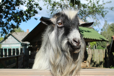 Similar image 22181205