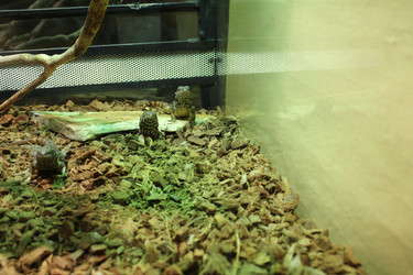 Similar image 22181206