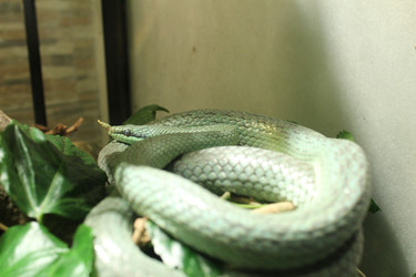 Similar image 22181207